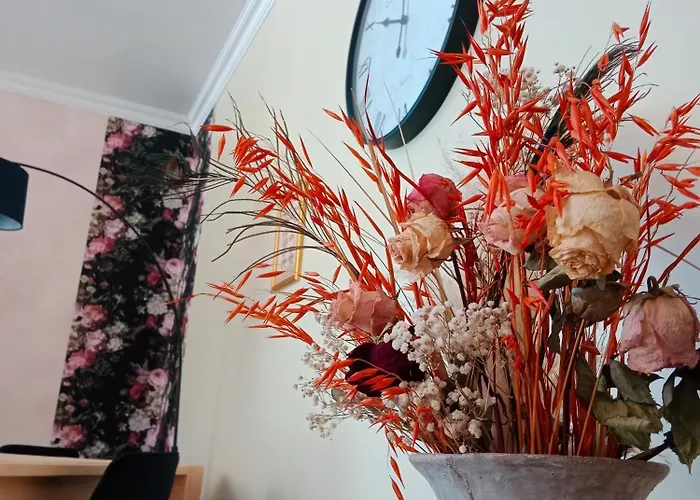 Au Chaleureux Carli Hébergement de vacances Sorlhac